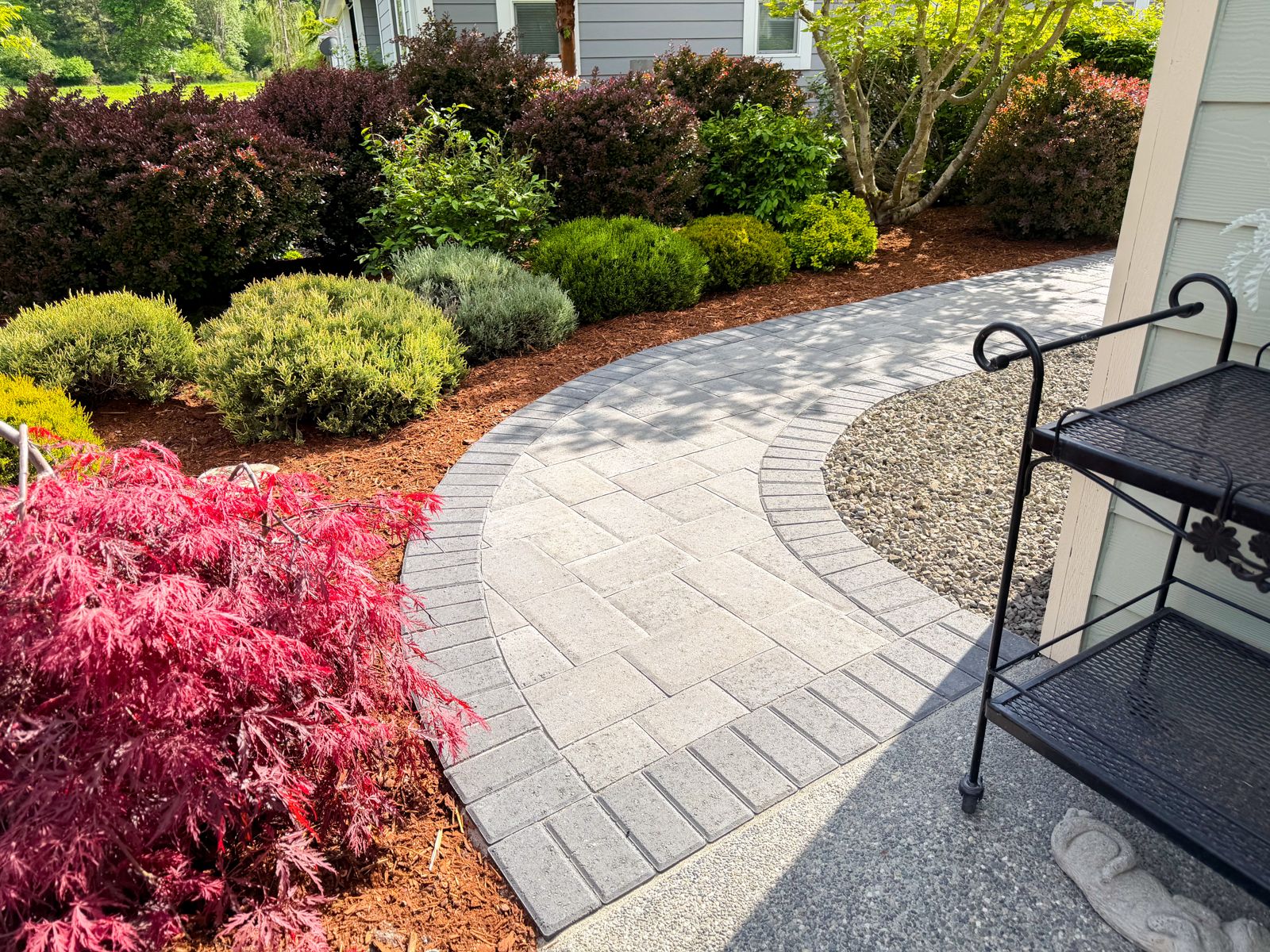 Curved gray paver walkway through mulched garden beds with a Japanese maple
